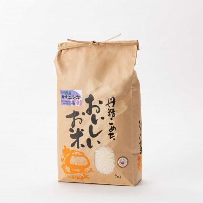 ふるさと納税 新庄市 米食味鑑定士厳選新庄産米　ササニシキ(精米)5kg
