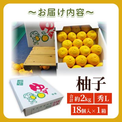 ふるさと納税 西予市 <柚子 秀 Lサイズ 18個> 約2kg 2000g ゆず 国産 果物 フルーツ 低樹高栽培 おいし |  | 03