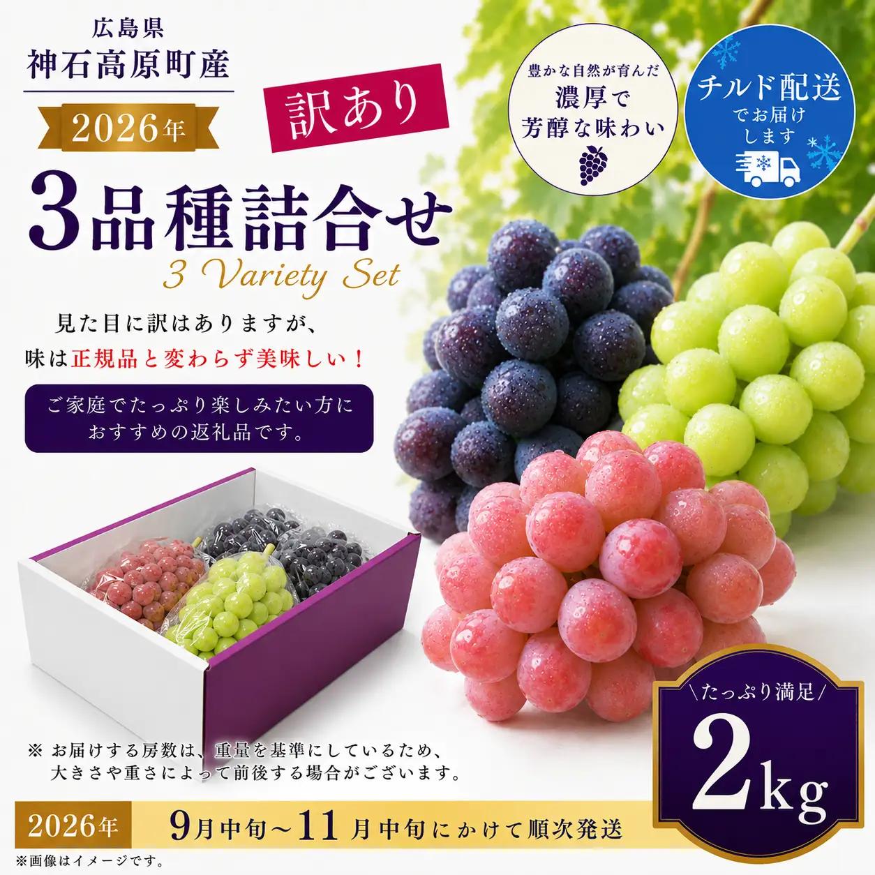 【2026年先行予約】＜訳あり＞ ぶどう3種ミックス盛り（シャインマスカット入り）約2kg｜味はそのまま・ご家庭用におすすめ（チルド配送）《9月中旬-11月中旬出荷予定》期間限定 フルーツ 果物 ぶどう ブドウ 神石高原町 広島県
