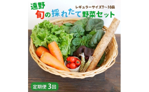 ＜毎月定期便＞旬のとれたて野菜セット(7～10品)レギュラーサイズ＜こんたでぃーの遠野＞全3回【4066189】