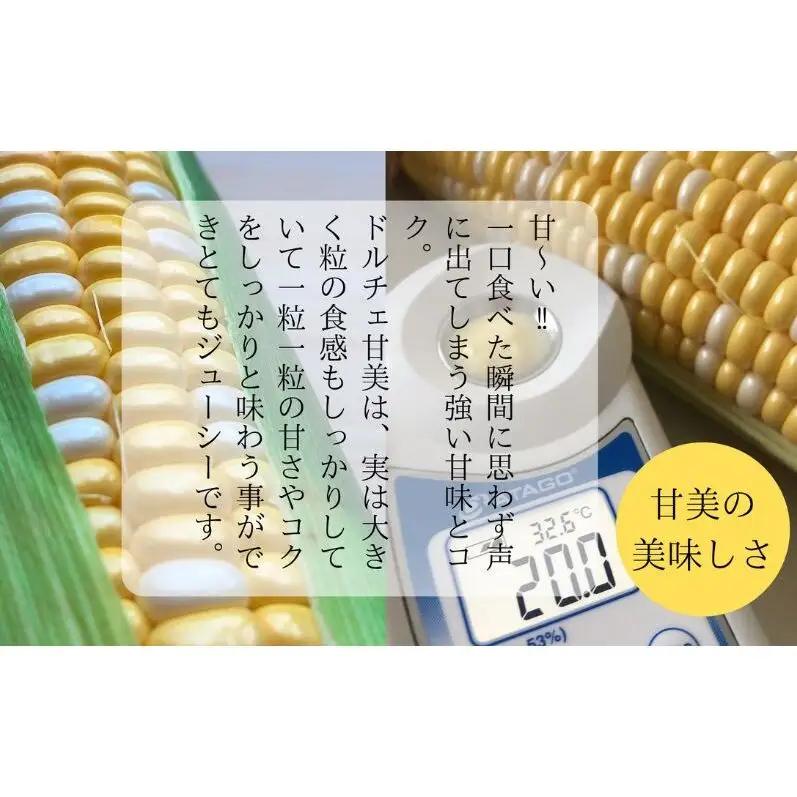とうもろこし 先行予約 ドルチェ甘美 約5kg 朝採り とうもろこし