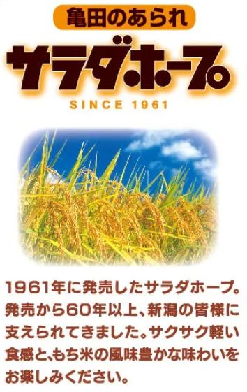 亀田製菓  サラダホープ90g＆無限エビ73g詰合せ 各6袋 合計12袋 2A04008