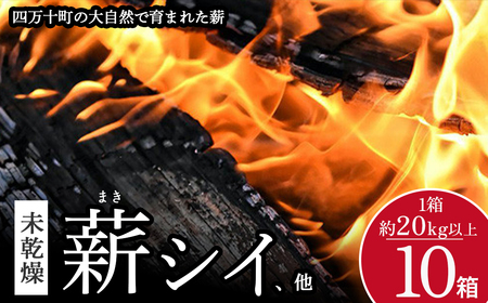 四万十の薪　未乾燥　シイ他(20kg以上)×10箱　Bnm-23 四万十の薪　未乾燥 キャンプ 薪ストーブ ストーブ 薪割り 割り薪 まき 乾燥 済 アウトドア キャンプ ファイヤー 焚き火 焚火 森林 林業 木 サウナ 薪 薪 薪