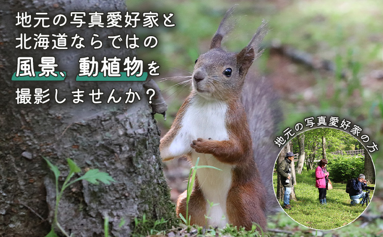 まちなか散策フォトツアー体験チケット(3人分)【32014】_イメージ2