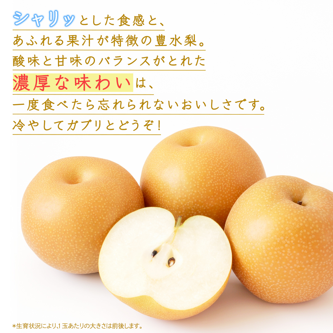 豊水 梨 約10kg 【2026年9月より発送開始】（茨城県共通返礼品 [梨]：大子町産） なし 旬 お取り寄せ フルーツ 甘い ジューシー 和梨 時期 [FC06-NT]