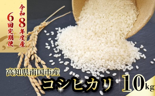【先行予約】【6回定期便】令和8年度 南国市産 コシヒカリ 白米 10㎏ | 数量限定 米 コメ お米 ご飯 おにぎり こめ 弁当 高知県 南国市
