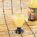 【ふるさと納税】梨ジュース2本セット ナシジュース 果汁100％ なし ナシ フルーツ 果物 ギフト 贈り物 送料無料