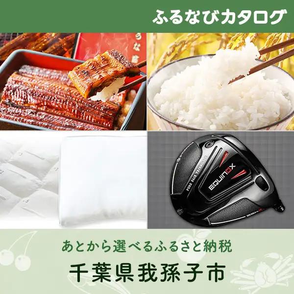 【有効期限なし！後からゆっくり特産品を選べる】千葉県我孫子市カタログポイント