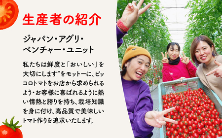 ピッコロトマト1.5㎏