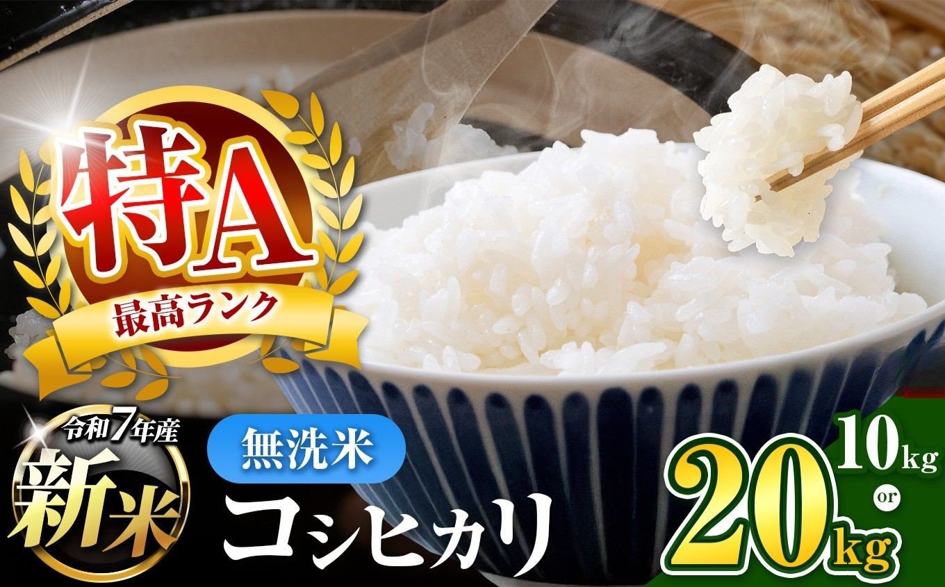 
                  無洗米 令和7年産 千葉県産 コシヒカリ 10kg  20kg | コメ こめ お米 白米 ふっくら もちもち こしひかり おにぎり お弁当 千葉ふるさと蔵 イチオシ 千葉県 君津市 きみつ
                