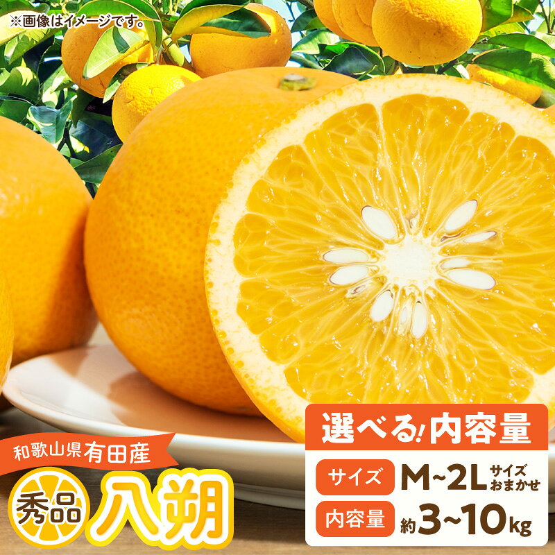 【ふるさと納税】【2027年先行予約】 はっさく 秀品 選べる 内容量 3kg 5kg 10kg M〜2L サイズ おまかせ 和歌山県有田産 完熟 甘み 増す デザート おやつ 果物 柑橘 お取り寄せ 和歌山県 湯浅町 送料無料