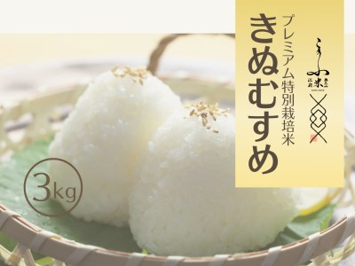 令和7年産 奥大山江府米きぬむすめ 3kg プレミアム特別栽培 キヌムスメ 精米 3ｷﾛ 0626