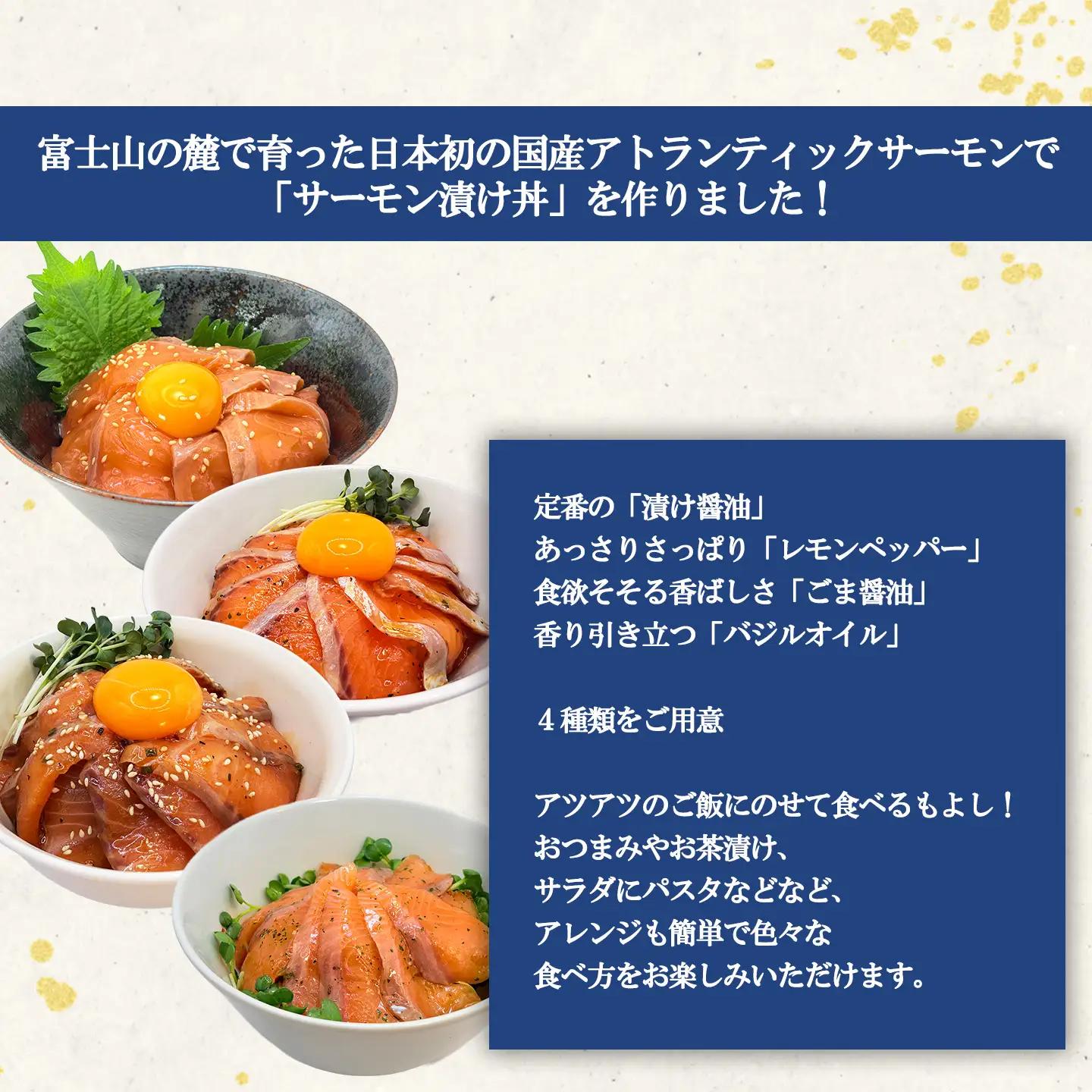 国産サーモン サーモン漬け丼 食べ比べ（4つの味×1P） 海鮮丼