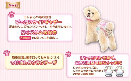 マナーウエア 女の子用 SSS モーヴピンクドット・ピンクチェック 42枚×4 ペット用品 ペット用おむつ 