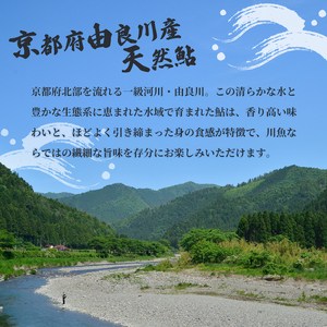 【2025年夏発送】 天然鮎 網獲り 約0.5kg（約7匹～11匹）あゆ 鮎 鮎 あゆ アユ 生鮎
