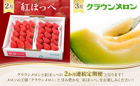 フルーツ 定期便 全2回 いちご メロン 苺 果物 フルーツ