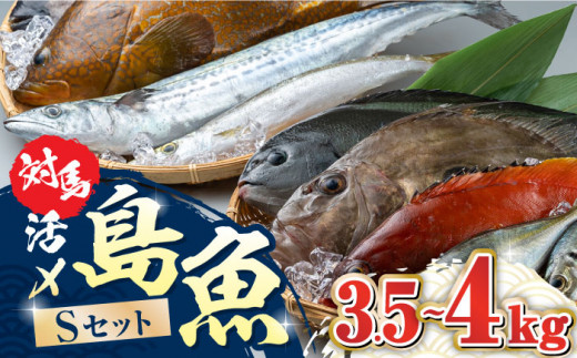 対馬 活〆 島魚セット 3.5～4kg《対馬市》【対馬地域商社】九州 長崎 鮮魚 [WAC007]新鮮 鮮度 直送 冷蔵 鮮魚 刺身 海鮮 魚介 鯛めし 煮付け 魚 ぶり まぐろ 刺し身 定置網 おかず 一品 味噌汁 塩焼き お祝い 鮪 マグロ