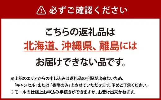 【 2回定期便 】 木熟ぶどう ハレノシャイン シャインマスカット晴王 2房 合計約1.4kg 果物 くだもの 果実 フルーツ 果汁 ぶどう 葡萄 ブドウ マスカット シャインマスカット 晴王 ブラン