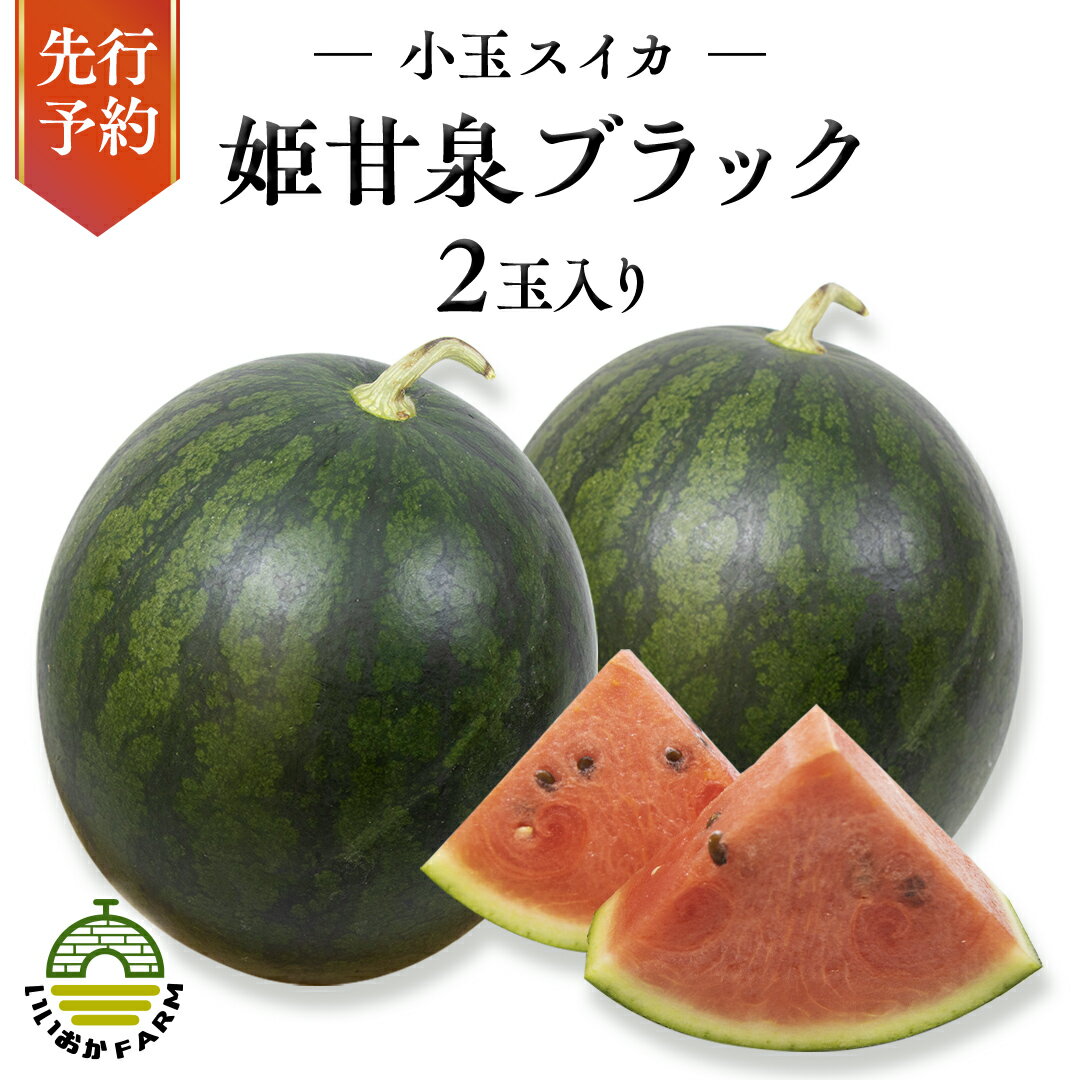 【ふるさと納税】【 令和7年産 】【 先行予約 】小玉 スイカ 姫甘泉ブラック 1箱 2玉入り すいか 黒 西瓜 数量限定 甘い 夏 果物