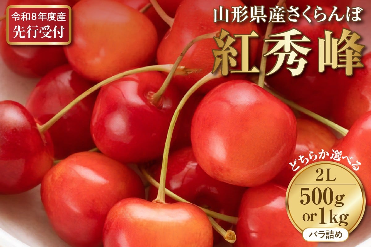 
            選べる内容量！【2026年産先行予約】さくらんぼ紅秀峰 秀2L 1kg/500g 秀品 2Lサイズ 山形県河北町産【晴天畑】 さくらんぼ 山形県 ふるさと納税 大粒 紅秀峰 贈答 ギフト
          