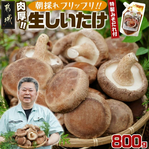 朝採れ肉厚生しいたけと特製みそだれ〔87-005〕