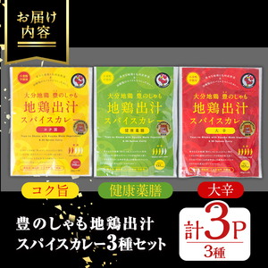 大分地鶏豊のしゃも地鶏出汁スパイスカレー3種セット(合計540g・180g×3パック)レトルト 簡単調理 ご当地カレー【112400200】【天峯ファーム】