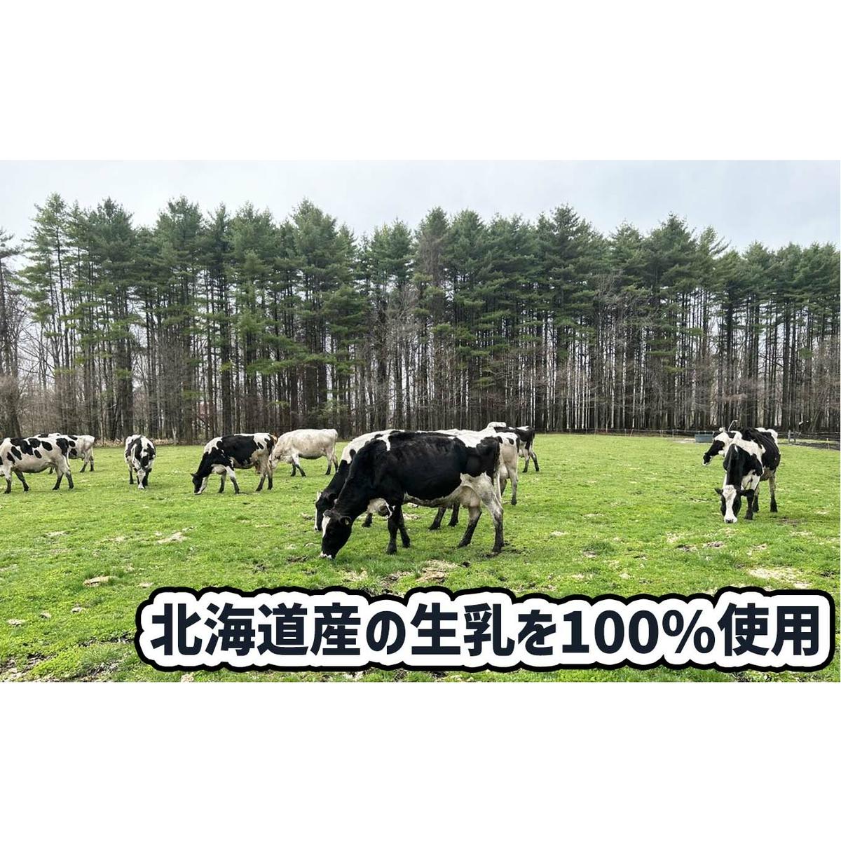 ＜ 6ヶ月 定期便 ＞ 北海道産 生乳100％ みるく の 花冠 ソフト クリーム 10個 アイス アイスクリーム ソフトクリーム ミルク 冷凍 北海道 新ひだか町_イメージ4