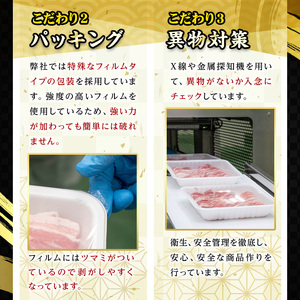 鹿児島県産恵味の黒豚 しゃぶしゃぶ+切落しセット(かたロース・豚ばら・ももしゃぶしゃぶ肉と切り落としのセット) 　合計2.5kg!【A-1734H】