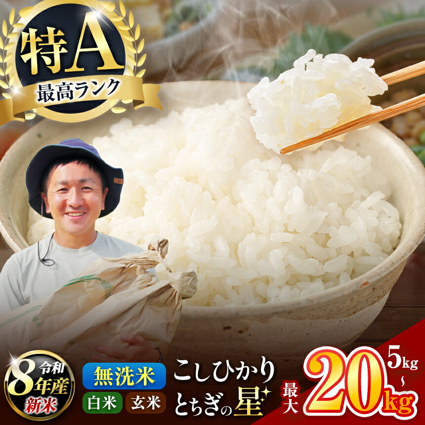 【ふるさと納税】選べる 限定 品気 大人気 楽天限定 こしひかり とちぎの星 2026年 令和8年 コシヒカリ | 5kg 10kg 20kg 2P 3P | 先行予約 お米 米 こめ 白米 玄米 産地直送 美味しい おいしい お弁当 リピート 農家直送 栃木県産 矢板市産 栃木県 矢板市 澳原いちご農園