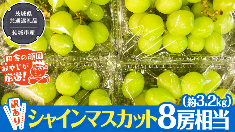 
                  【 訳あり 】 シャインマスカット 8房相当（約3.2kg） 【2026年9月より発送開始】 田舎の頑固おやじが厳選！（茨城県共通返礼品 [ぶどう]：結城市産） 果物 フルーツ 不揃い わけあり 先行予約 家庭用 フルーツ ブドウ 果物 ぶどう シャイン マスカット くだもの 先行予約
                