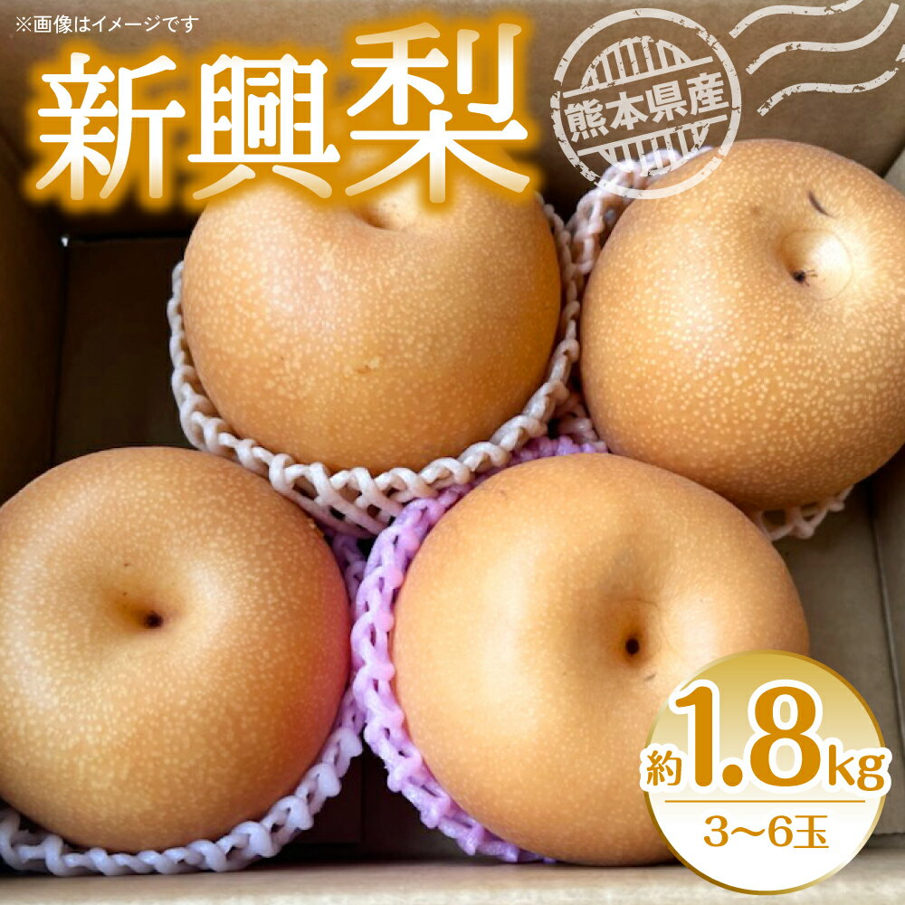 【ふるさと納税】【先行予約】新興梨 約1.8kg（3~6玉）梨 なし 新興 送料無料【2025年10月上旬より順次発送】