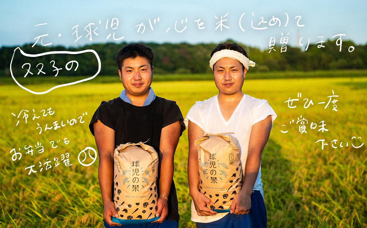 令和7年産 一等米 球児の米 （ ミルキークイーン精米 ） 10kg | 米 こめ コメ お米 ご飯 5kg 10kg 20kg 30kg 精米 白米 ミルキークイーン 新米 おすすめ 茨城県 つくば