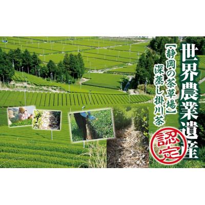 ふるさと納税 掛川市 世界農業遺産 静岡の茶草場農法 深蒸し掛川茶(手摘み60g×1袋・掛川茶100g×2袋)ギフトセット |  | 03
