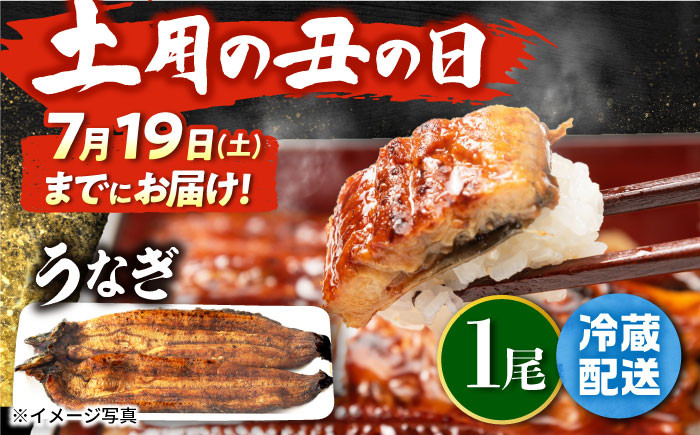 
            【土用の丑の日発送対応可能】手焼き 炭火焼き うなぎ 蒲焼 (1尾・タレ付き) 【中野鮮魚店】 [NAI001] うなぎ ウナギ 鰻 炭火 蒲焼き かばやき 九州産 うなぎ ウナギ 鰻
          