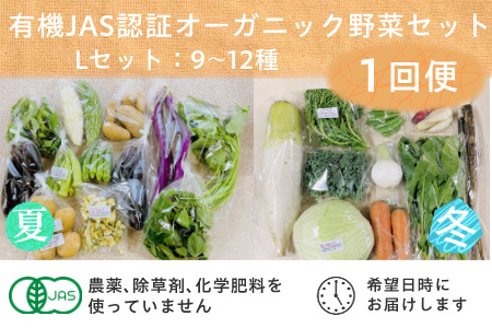 野菜 オーガニック 野菜 レギュラーサイズ 野菜セット 有機JAS認証 有機野菜 ９～１２袋 しあわせ野菜畑 6337