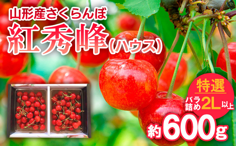 
            さくらんぼ 紅秀峰(ハウス)特選 バラ詰め 2L以上 約600g 【令和7年産先行予約】FS24-629くだもの 果物 フルーツ 山形 山形県 山形市 2025年産
          