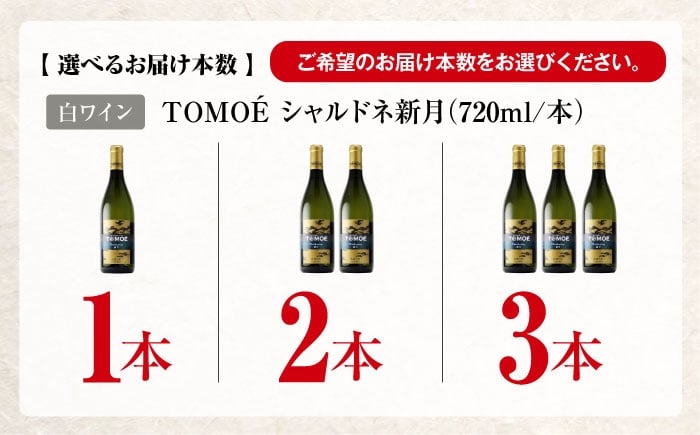 ワイン 受賞 白ワイン お酒 ワイン ギフト 酒 贈答 プレゼント 特産品