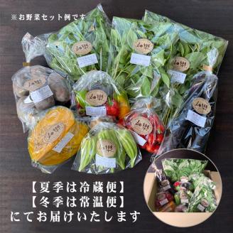 【定期便3ヶ月】旬の 野菜 詰め合わせ 7～9品 産地直送