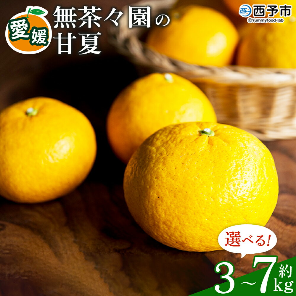 【ふるさと納税】【先行予約】＜無茶々園の甘夏 約3kg/5kg/7kg＞ 果物 くだもの あまなつ みかん ミカン 蜜柑 柑橘 フルーツ 選べる内容量 期間限定 季節限定 食べて応援 特産品 愛媛県 西予市 【常温】『2027年3月～5月上旬迄に順次出荷予定』