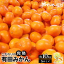 【ふるさと納税】＼光センサー選別／完熟有田みかんSサイズ 約10kg 有機質肥料100%※2024年11月中旬頃より順次発送予定※沖縄・離島への配送不可 ふるさと納税 みかん