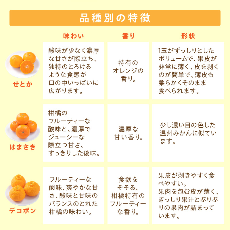 佐賀産 柑橘定期便 満喫セット【全3回】 せとか はまさき デコポン 999-B860