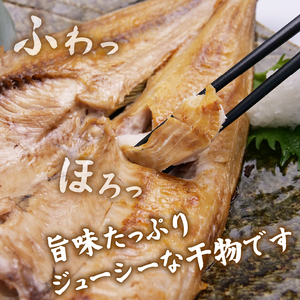 干物 無添加 厳選 5種  『とびっきり！しずおか』で紹介いただきました！ 干物