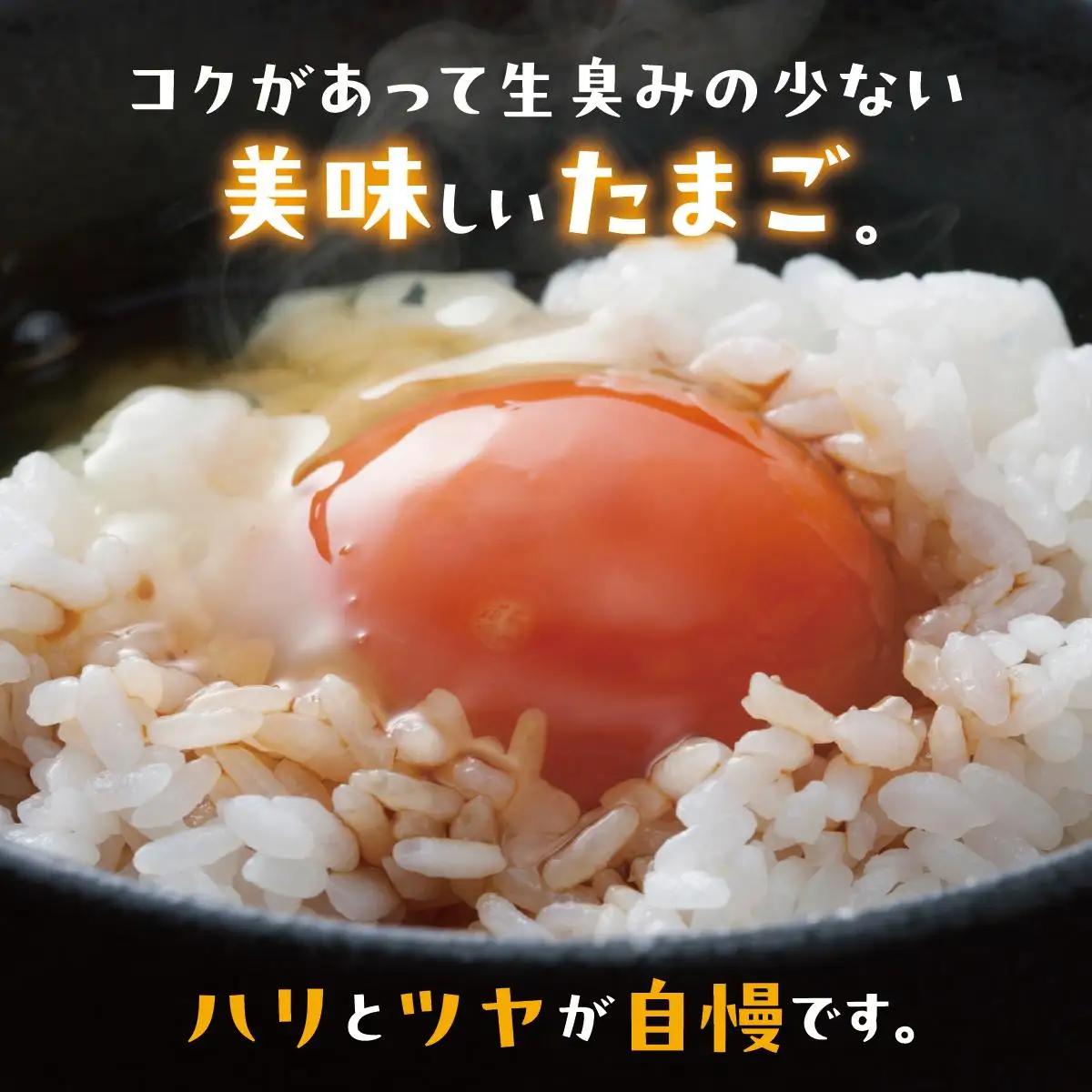 美ら卵養鶏場の卵 60個【順次配送】   