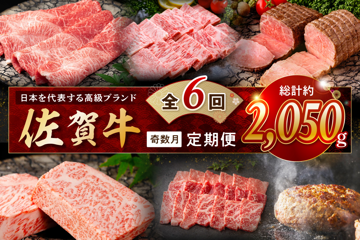 【発送月固定 定期便】肉の定期便! 厳選 佐賀牛 隔月お届け（奇数月）全6回 J1169