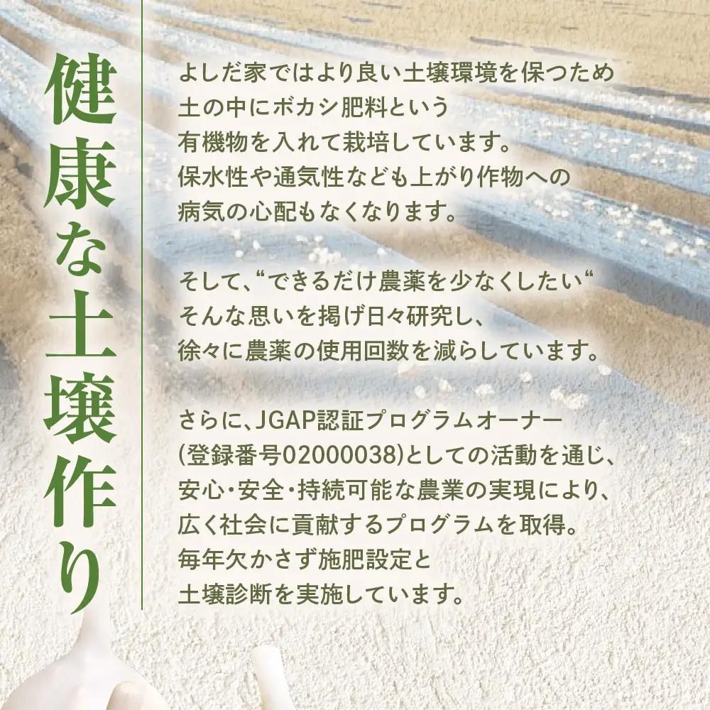 青森県産にんにく 大容量 ギフトセット にんにく
