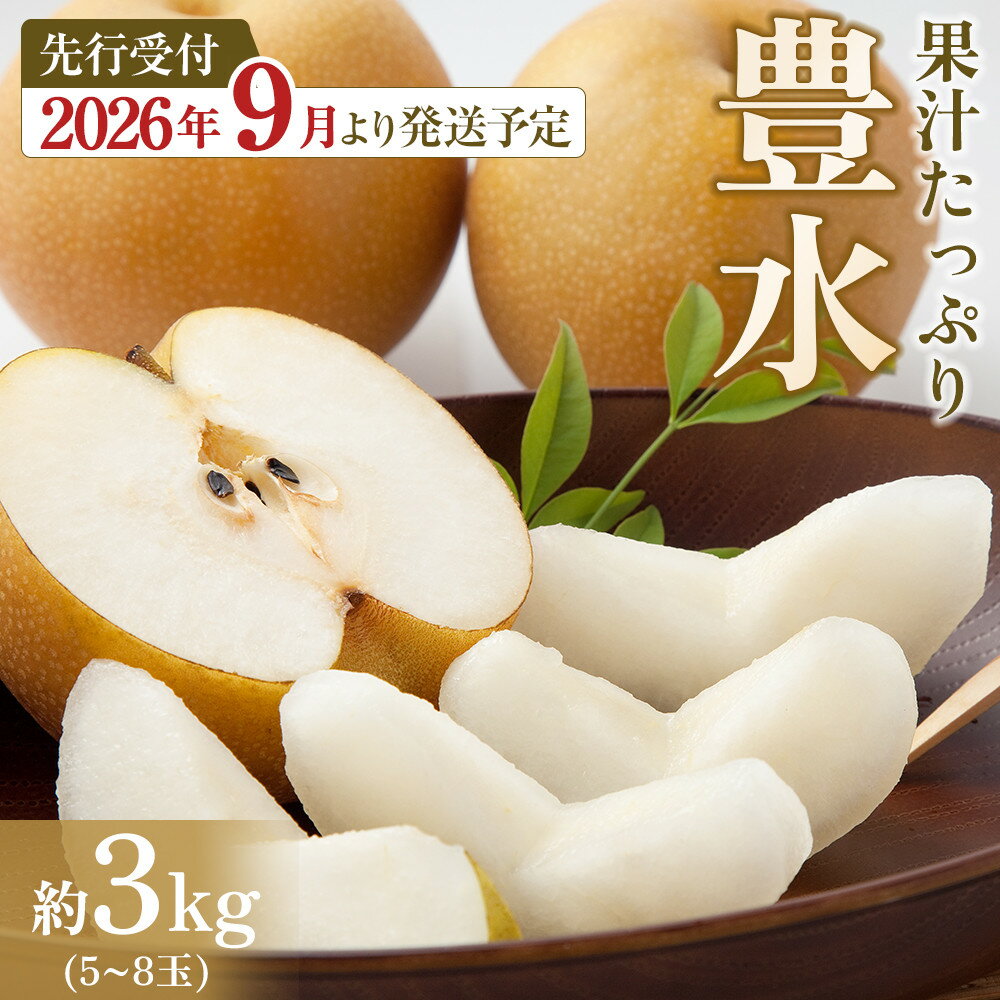 【ふるさと納税】【2026年先行予約／馬場果樹園】梨「豊水」約3kg（5～8玉入）9月初旬～順次発送 | フルーツ 果物 くだもの 食品 人気 おすすめ 送料無料