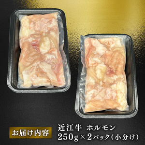 近江牛 ホルモン 500g (250g×2)  黒毛和牛 小分け 牛肉 肉 ギフト 焼肉 焼き肉 自宅用 高級 黒毛和牛 国産 ふるさと納税 ブランド牛 三大和牛 和牛 冷凍 贈り物 内祝い 神戸牛 