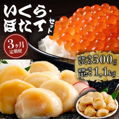 ふるさと納税 紋別市 【定期便3か月】いくら醤油漬け500gほたて1.1kgセット×3回