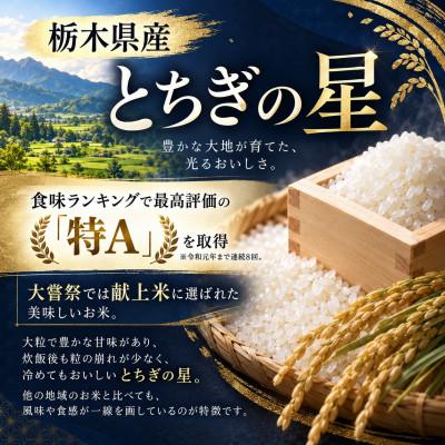 ふるさと納税 真岡市 【令和8年産】キラキラ輝く大粒の恵み!栃木県産とちぎの星10kg(精米) |  | 01
