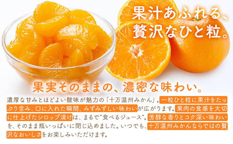 十万みかん シロップ漬け 170g 6本 田野農園《30日以内に出荷予定(土日祝除く)》鹿児島県 さつま町 みかん 蜜柑 柑橘 果物 くだもの フルーツ ジューシー シロップ 送料無料